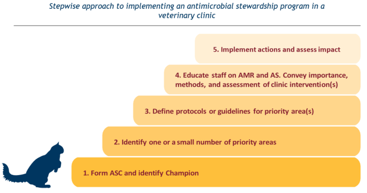 Stepwise approach to implementing an antimicrobial stewardship program in a veterinary clinic
